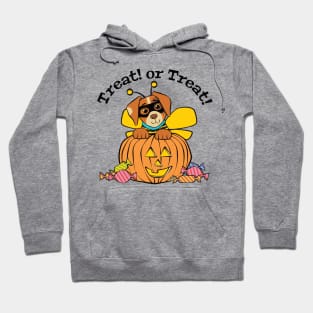 Halloween Dog Honey Bee Pumpkin Hoodie